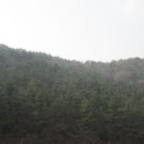 남해-213 이미지