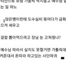카톨릭의대