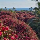 해랑소아청소년과의원 이미지