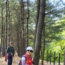 초안산길 이미지