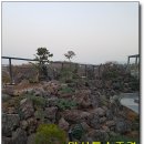 옥산조경 - 양천구 목동중앙서로7길 16-14 | 옥산조경