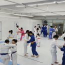 송도와와유도장 네이버블로그