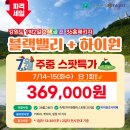 하이원여행사