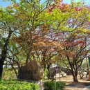 영산 해설사의 집 이미지