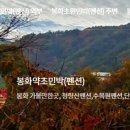 약초민박 이미지