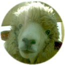 초야목장 이미지