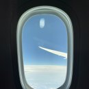 이노센트원대 | 2021 6월 :: 미국 입국 댈러스 입국심사 후기 / 인천공항 다락휴 캡슐 호텔 후기
