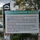 순흥척화비 | 청주중앙공원 - 충북청주시여행