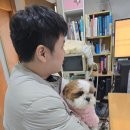 라파엘종합동물병원 | 강아지 종합백신 추가접종 &amp; 광견병예방주사 맞히다