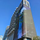 나홀로 진짜 여행 | 부산 호캉스 나홀로여행, 해운대 그랜드 조선호텔 솔직 후기