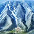 강원함바식당 이미지