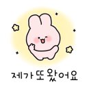 완도댁전복 네이버블로그