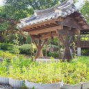 계족로 574번길 이미지