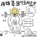 (주)씨씨브이게임즈 | 크로스핏 일지 #4