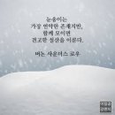 GS25 해운주성점 | 11월 10일 시황(셧다운 종료, 쉬었던 정책 재부각)
