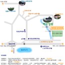 허브정원