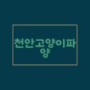 천안고양이파양 이제 걱정 끝 품질 좋은 사료 후기