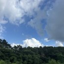 The 하루만펜션 | 용인 수영장 펜션 The145, 고기리보다 더 재밌게 놀고 온 후기