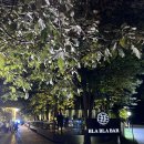 우즈베키스탄 타슈켄트 blabla bar 블라블라바(술집,핫플, 칵테일)