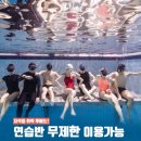 고고다이브