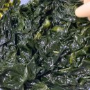 바다품은식탁 완도 직송 대용량 미역, 꼬시래기 후기