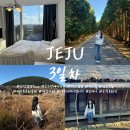 해녀민박 | 제주도 3일차 ㅣ 안녕김녕Sea, 오드랑베이커리, 해녀김밥, 각지불, 제동목장, 제주돌문화공원, 픽업카페...