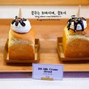 비비(BB)하우스 이미지