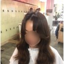 위스타일 이미지