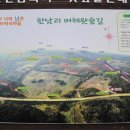 머체왓숲길