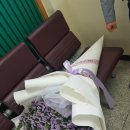 늘봄화원 이미지