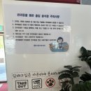 사천 디저트 맛집 이유갤러리카페 2층 오픈! 선진리성카페 바다뷰 감성카페 후기