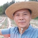 예담농원 이미지