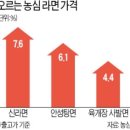 연일즉석두부