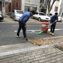 보성녹돈축산 이미지