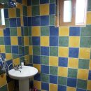 아모렉스 이미지