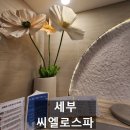 시엘로제이 | 세부 씨엘로 스파 마사지 후기｜밤비행기 전 힐링코스로 강력 추천! (블로그혜택 있음)