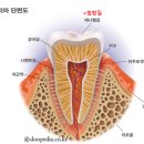 한국다케다제약주식회사 이미지