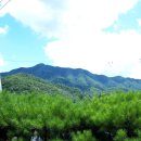 도그엔조이