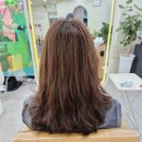 신평 미용실 하이브헤어하단 인애디렉터님 클리닉 후기