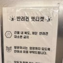 춘옥이네 이미지