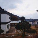 마호네일 이미지