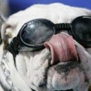 빵근맘마 이미지