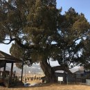 마장3리 이미지