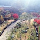 오르다온펜션 이미지