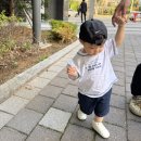 아이비비드 | 러브헤이미쉬 구매 후기 (수입공구, 국내공구 - 비비드아이/보니토/소이빈/디세인트)