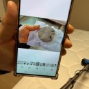 장승남로 | [인천] '비치움 클리어런스' 인천 송도 신혼집 매트리스 소파 러그 청소 후기