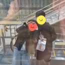 어화조아 | 5월 오래오래