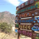 옥순봉민박 Daum카페