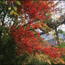 얼음골별장 이미지