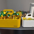 P골프아카데미 이미지